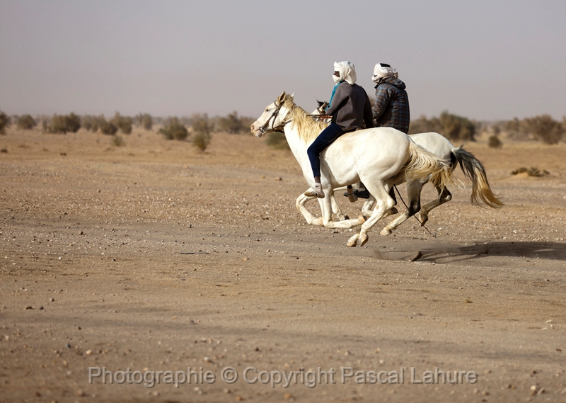 _42I5631_FICSA 2016_Pascal_Lahure.JPG